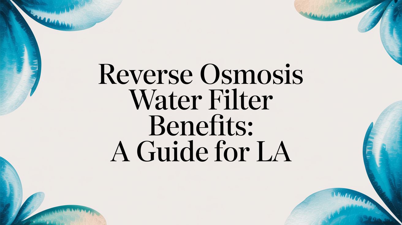 Reverse Osmosis Water Filter Benefits: A Guide for LA